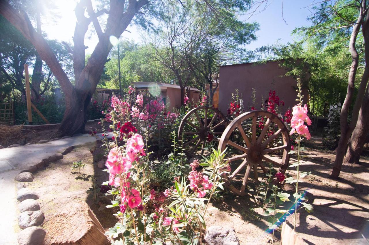 Hotel-Camping Takha Takha San Pedro De Atacama Esterno foto