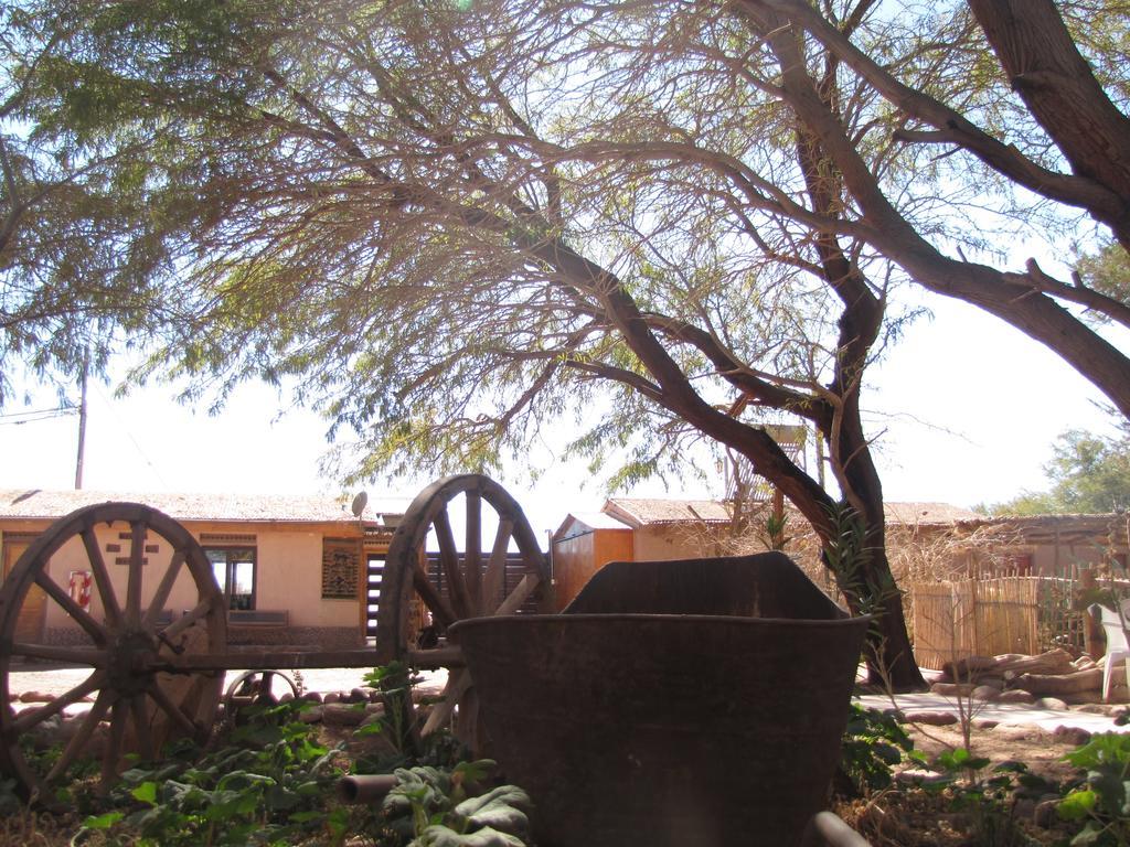 Hotel-Camping Takha Takha San Pedro De Atacama Esterno foto
